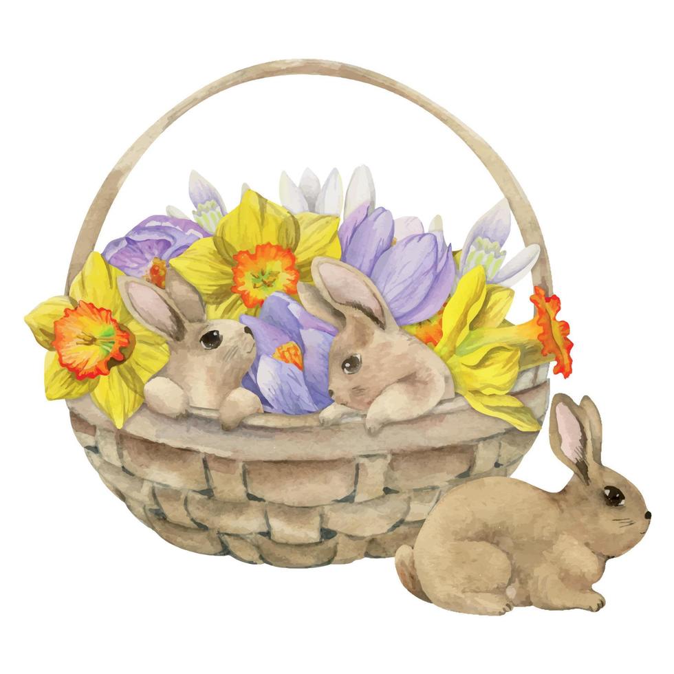 vattenfärg hand dragen påsk firande ClipArt. korg med målad ägg, gräs, kaniner, vår blommor. isolerat på vit bakgrund design för inbjudningar, gåvor, hälsning kort, skriva ut, textil- vektor