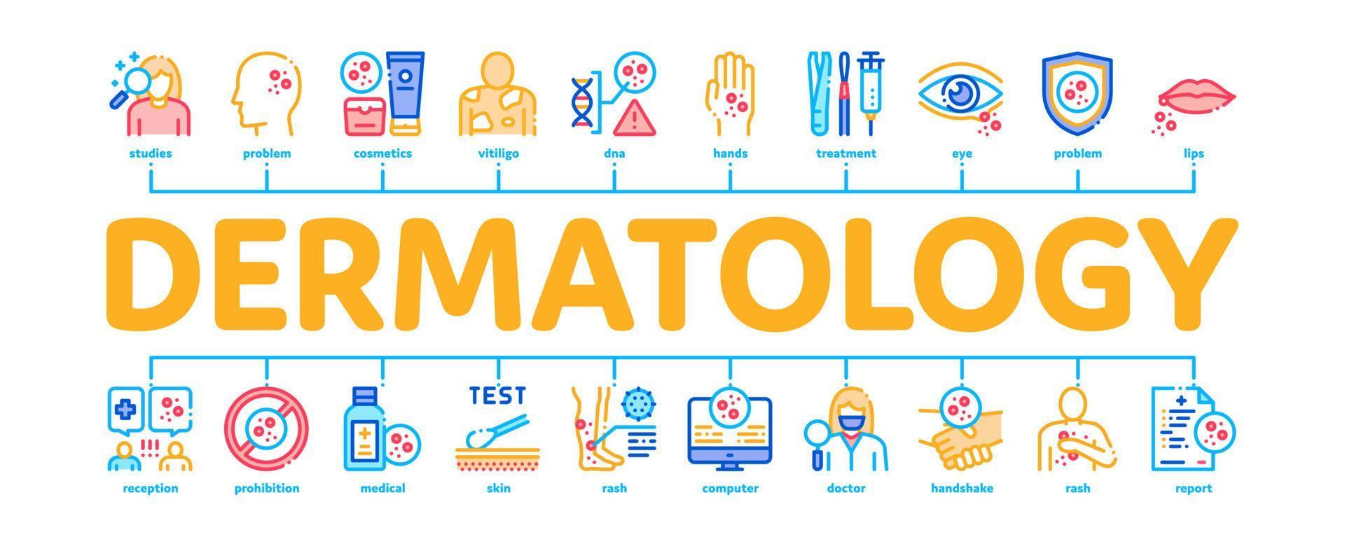 Dermatologie-Hautpflege minimaler Infografik-Banner-Vektor vektor