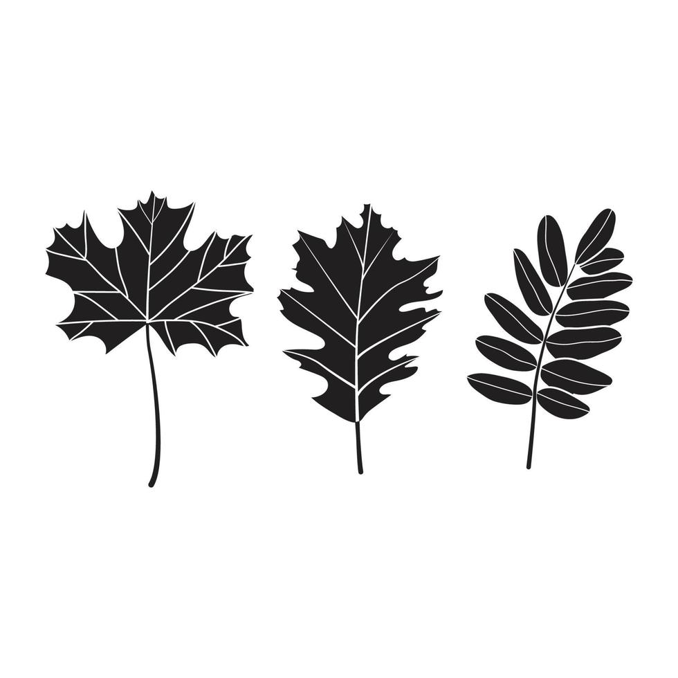 samling skog ormbunke eukalyptus konst lövverk naturliga blad örter i linje stil. dekorativ skönhet elegant illustration för design handritad blomma vektor