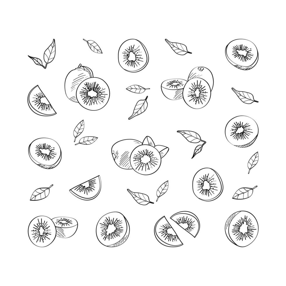 exotisk kiwi frukt. vektor mönster i en ritad för hand stil.