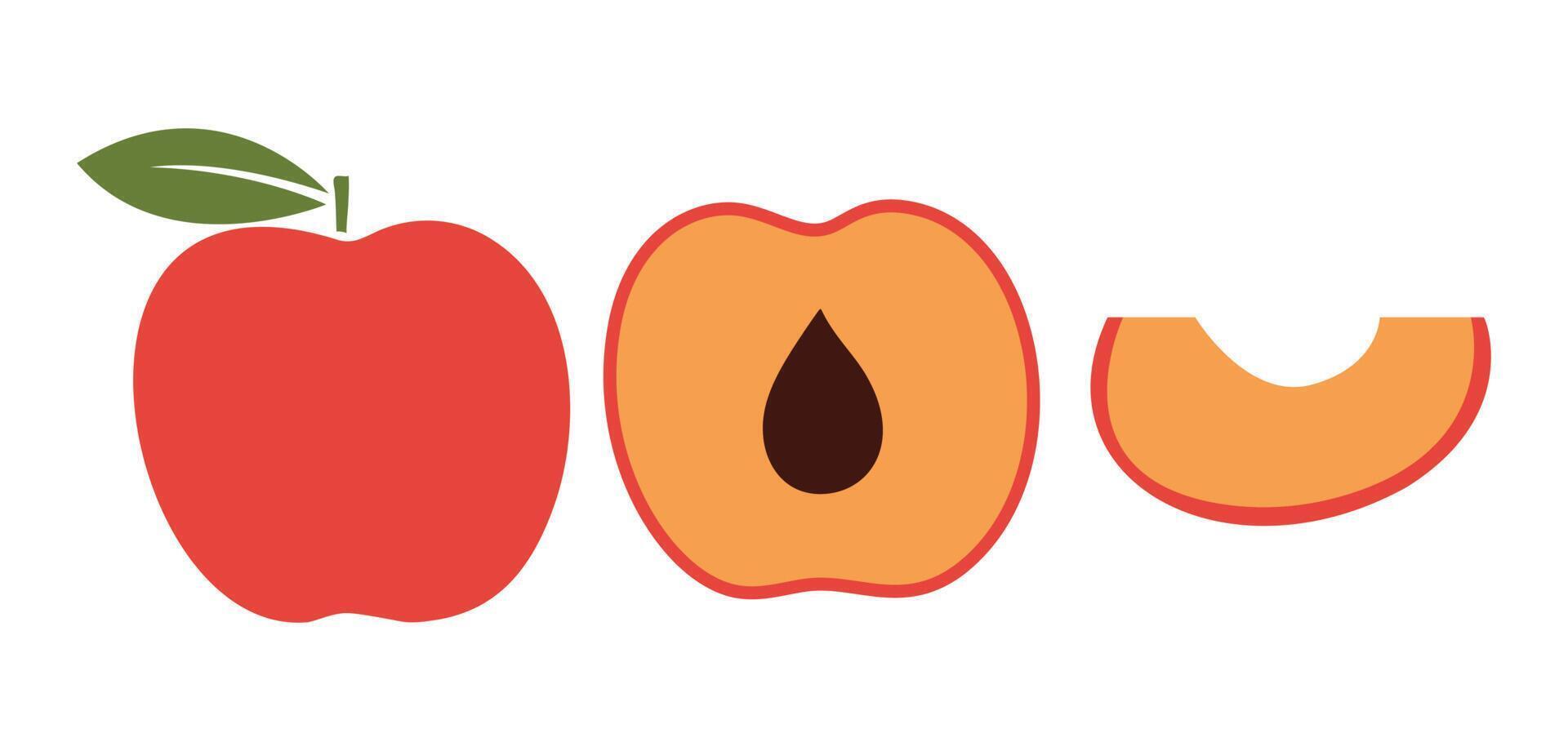 Set reife Scheiben Pfirsiche. Obstsammlung isoliert auf weißem Hintergrund. Illustration. vektor