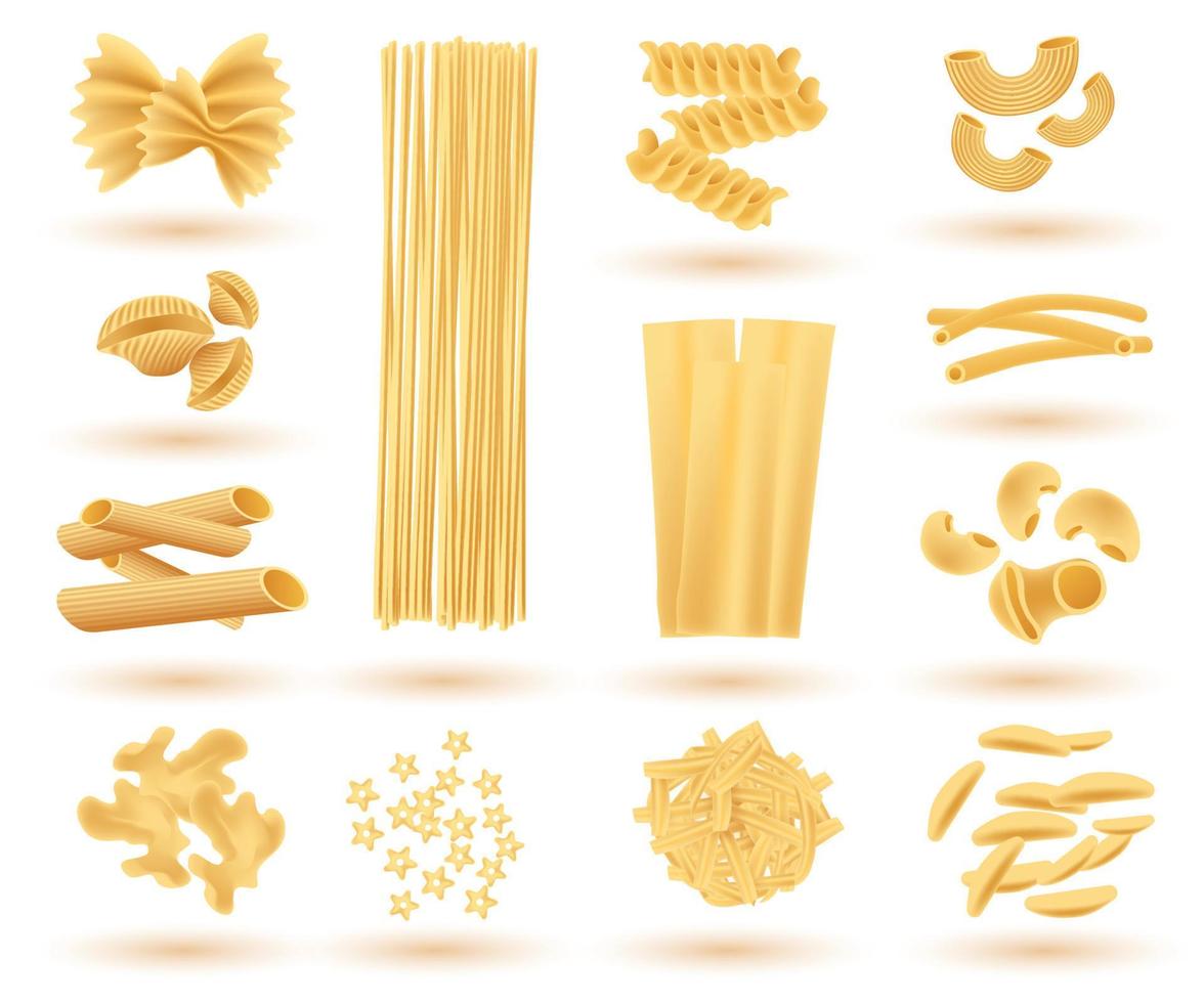isolierte Reihe italienischer Nudeln. Farfalle, Conchiglie, Linguine, Maccheroni, Penne, Rigate, Spaghetti, Fusilli und Lasagne. vektor