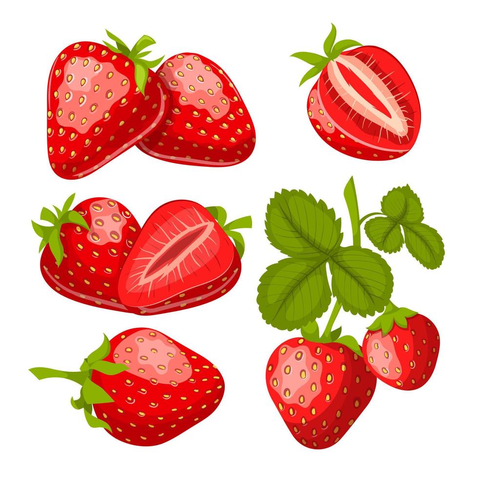Erdbeer-Obst-Set-Cartoon-Vektor-Illustration vektor