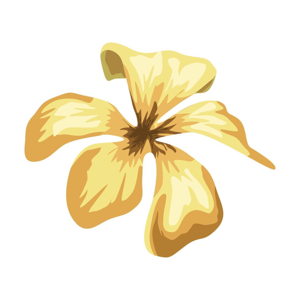gul exotisk blomma trädgård vektor