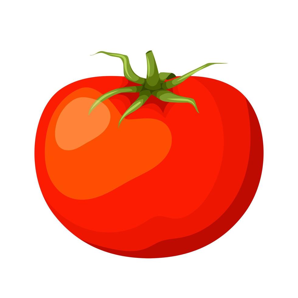 Tomaten-Gemüse-Cartoon-Vektor-Illustration vektor