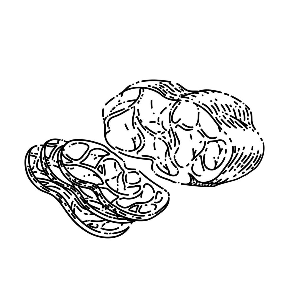 fleisch rindfleisch skizze handgezeichneter vektor