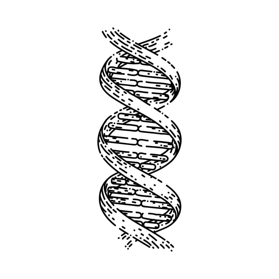 DNA-Wissenschaftsskizze handgezeichneter Vektor