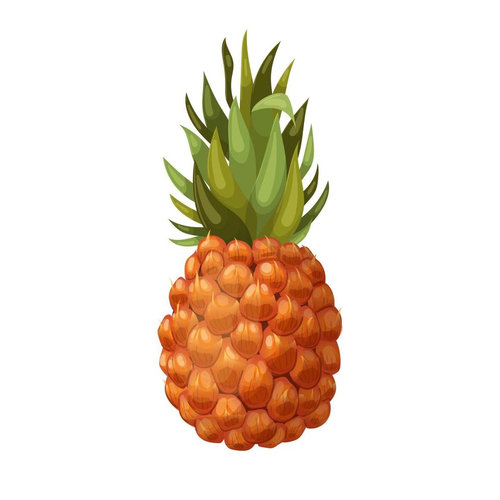 ananas tropisk tecknad serie vektor illustration