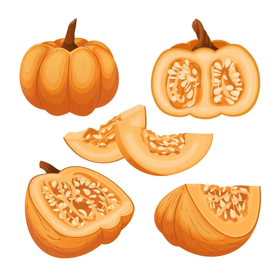 pumpa halloween orange uppsättning tecknad serie vektor illustration