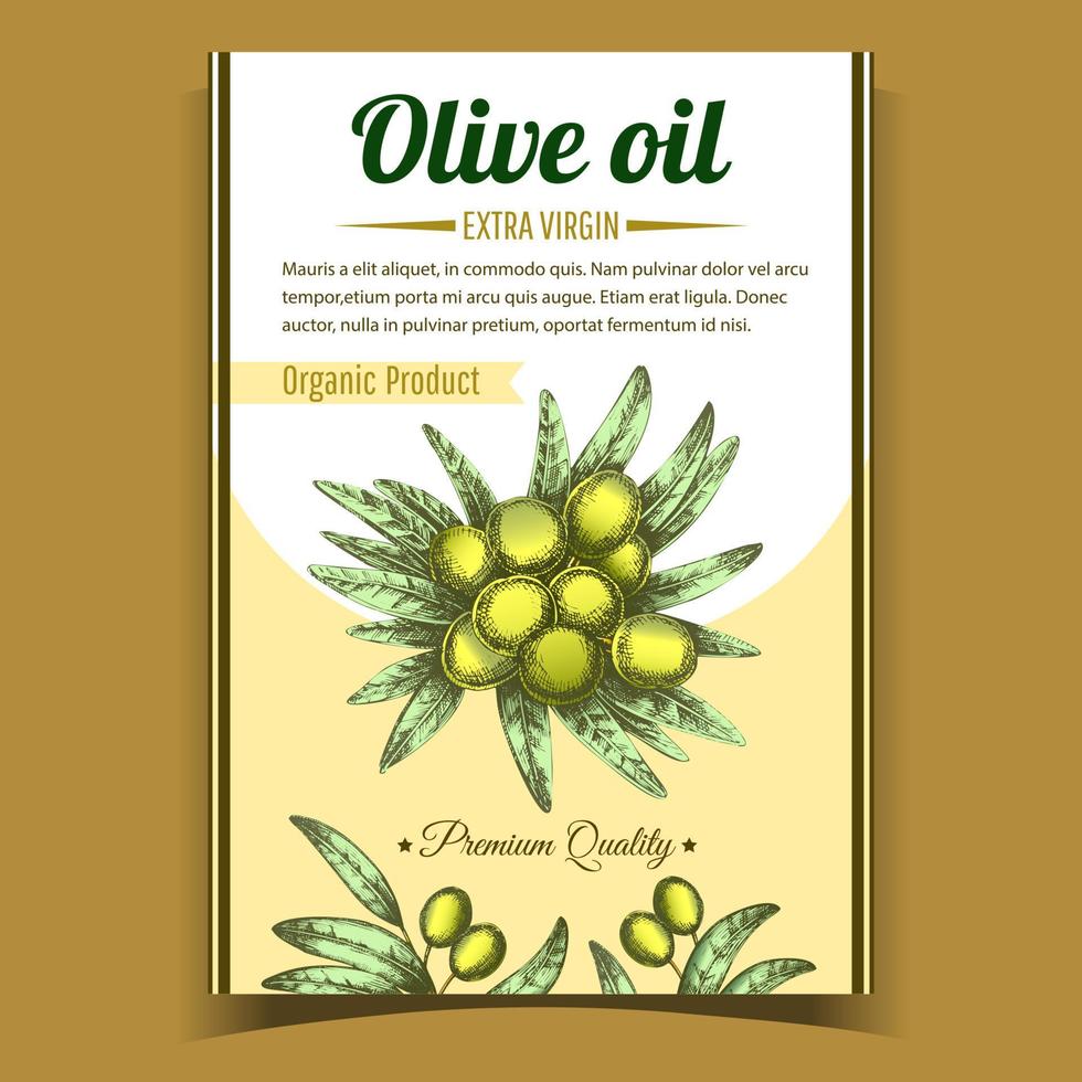 oliv extra jungfrulig organisk produkt affisch vektor