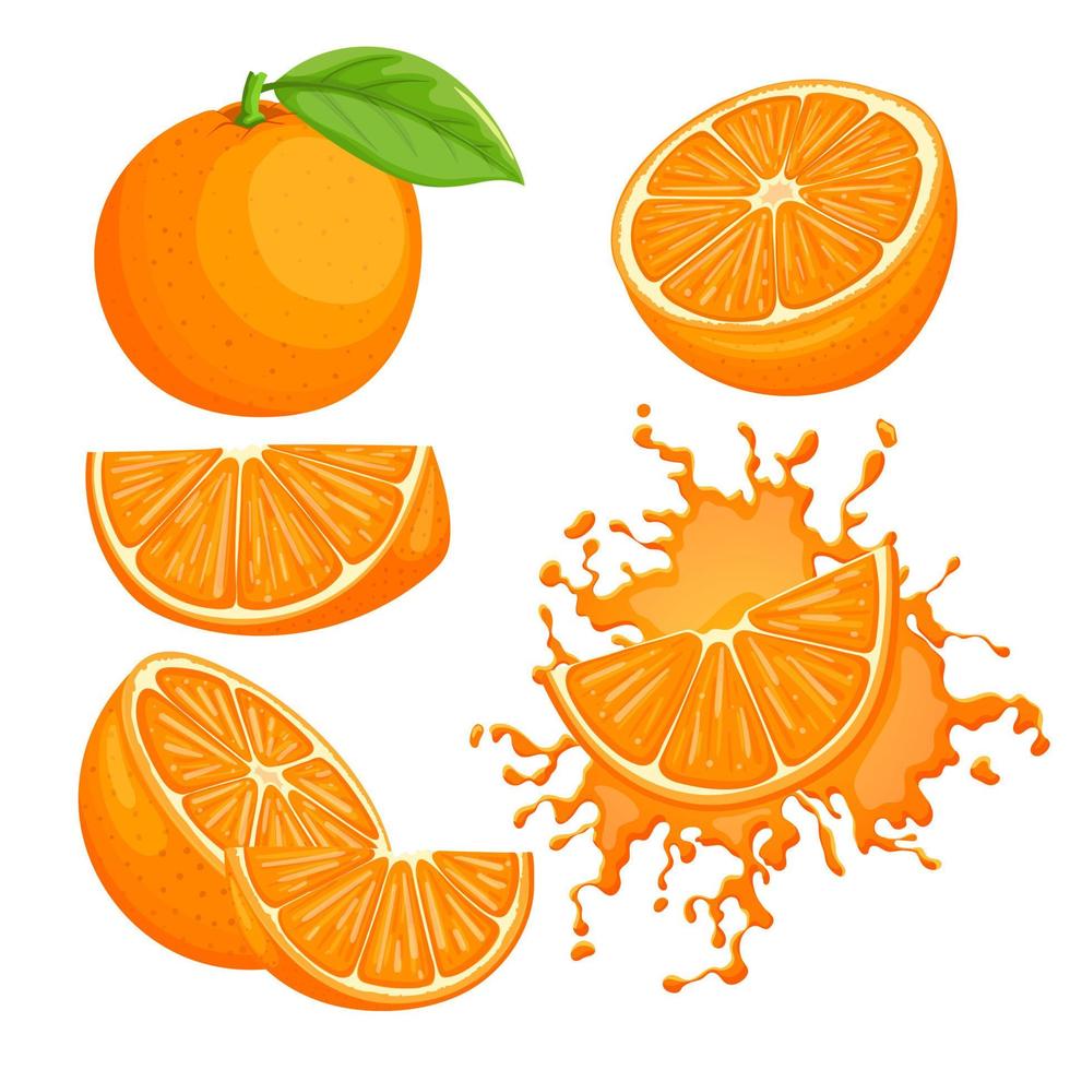 orange frukt uppsättning tecknad serie vektor illustration