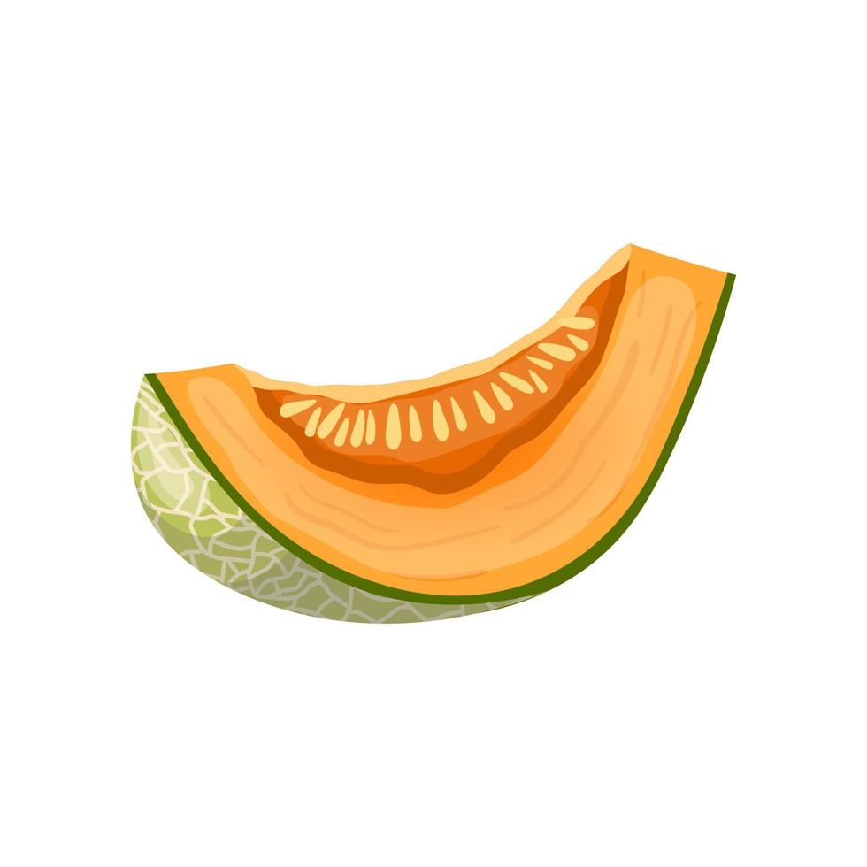 melon cantaloupmelon skiva tecknad serie vektor illustration