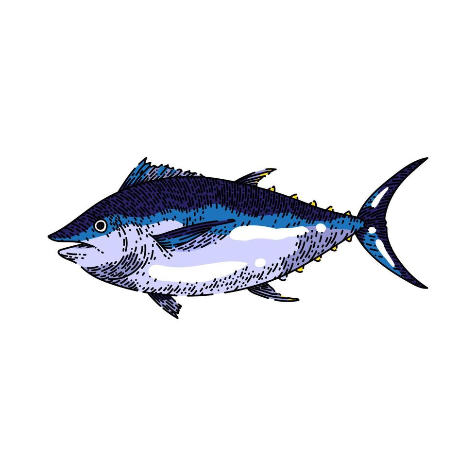 tonfisk fisk skiss hand dragen vektor