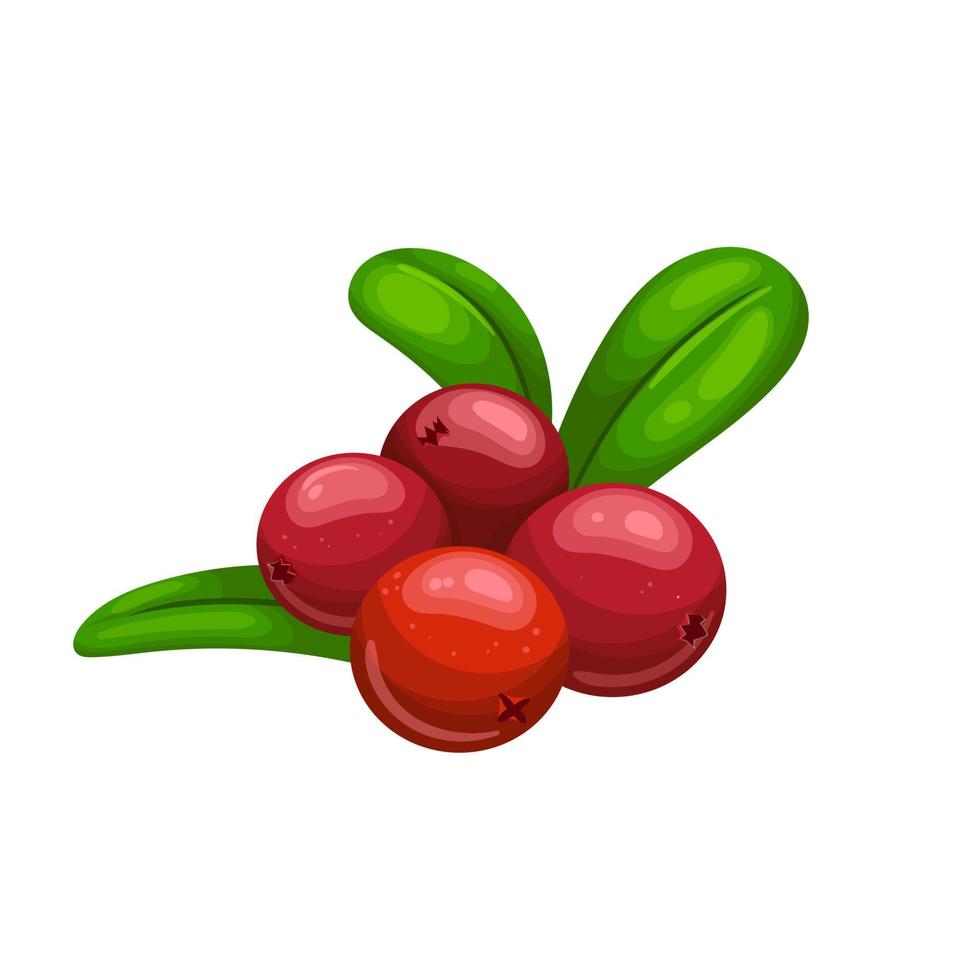 Cranberry-Beeren-Cartoon-Vektor-Illustration vektor