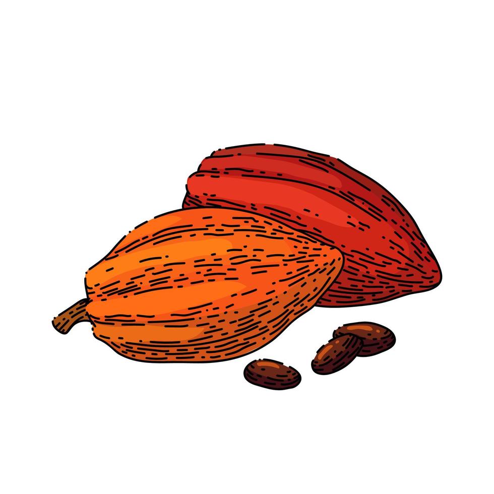 schokolade kakao skizze handgezeichneter vektor