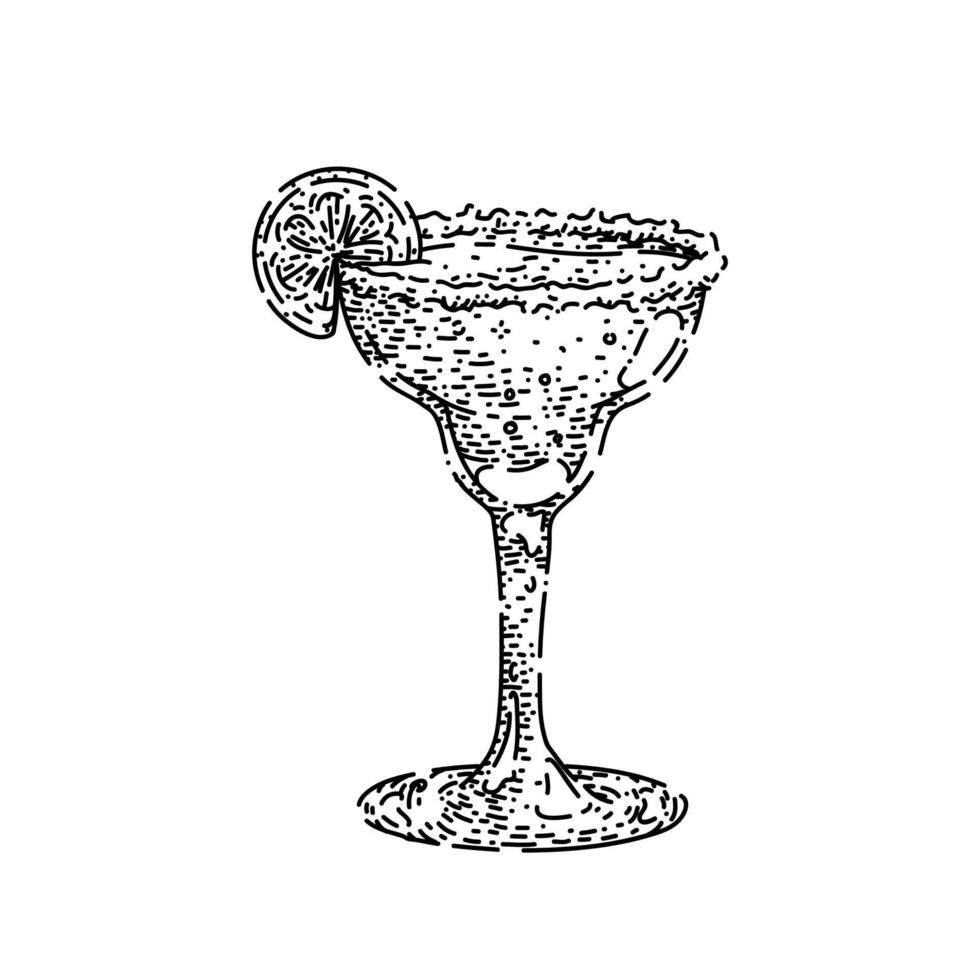 margarita cocktail skiss hand dragen vektor