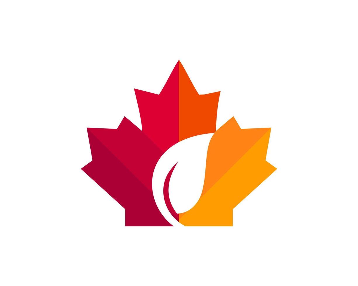 Ahornblatt-Logo-Design. Kanadisches Blatt-Logo. rotes Ahornblatt mit grünem Blattvektor vektor