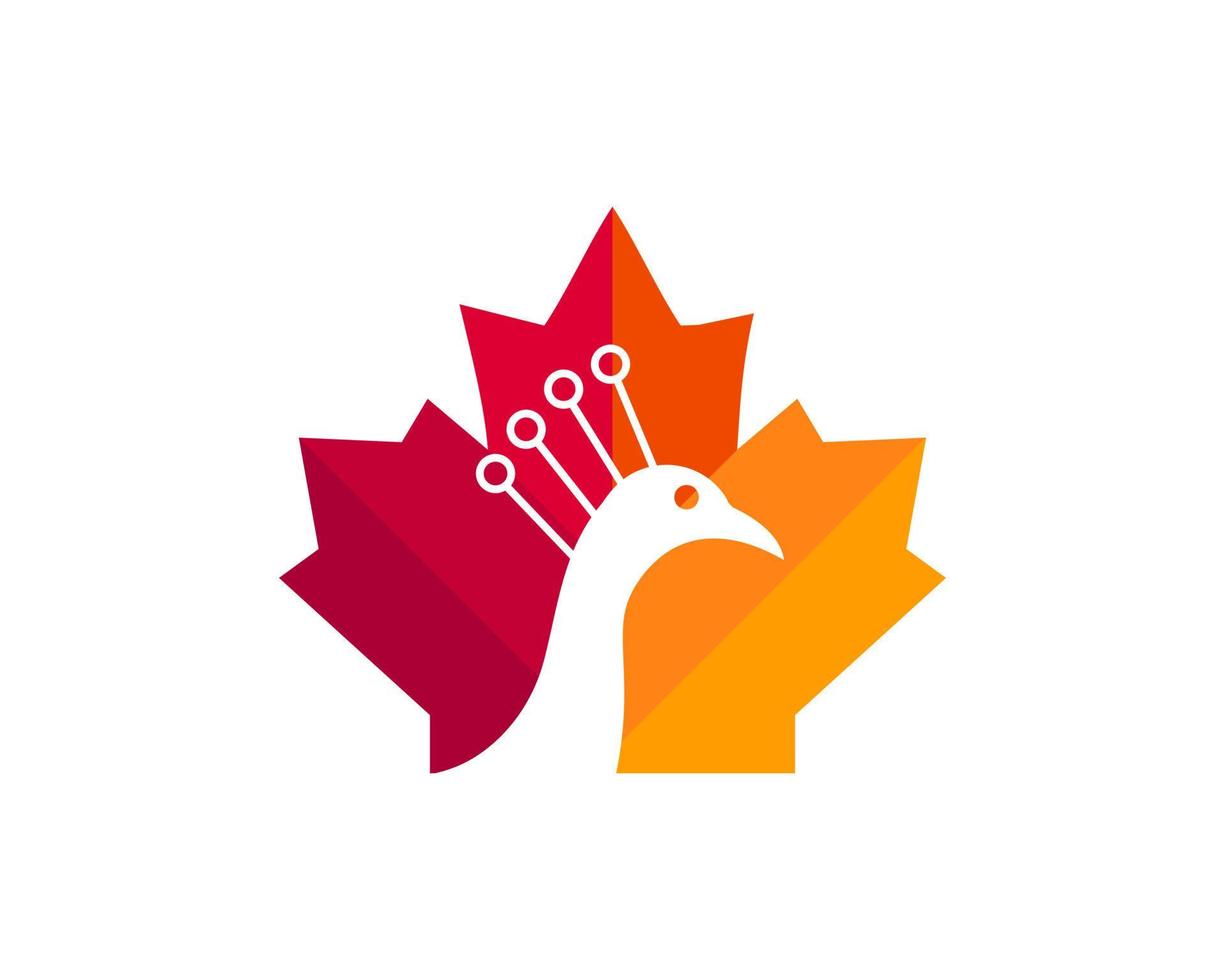 lönn påfågel logotyp design. kanadensisk påfågel logotyp. röd lönn blad med påfågel vektor