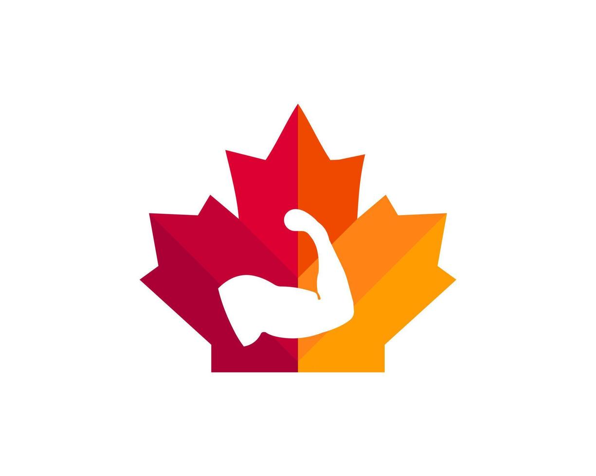 Ahorn-Fitness-Logo-Design. kanadisches Fitness-Logo. rotes Ahornblatt mit Fitness-Mann-Vektor vektor