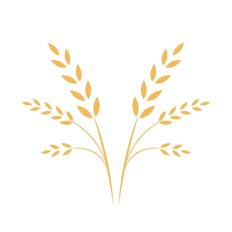 Reis-Symbol. Weizensymbolvektor. Hintergrund. Logo Design. vektor