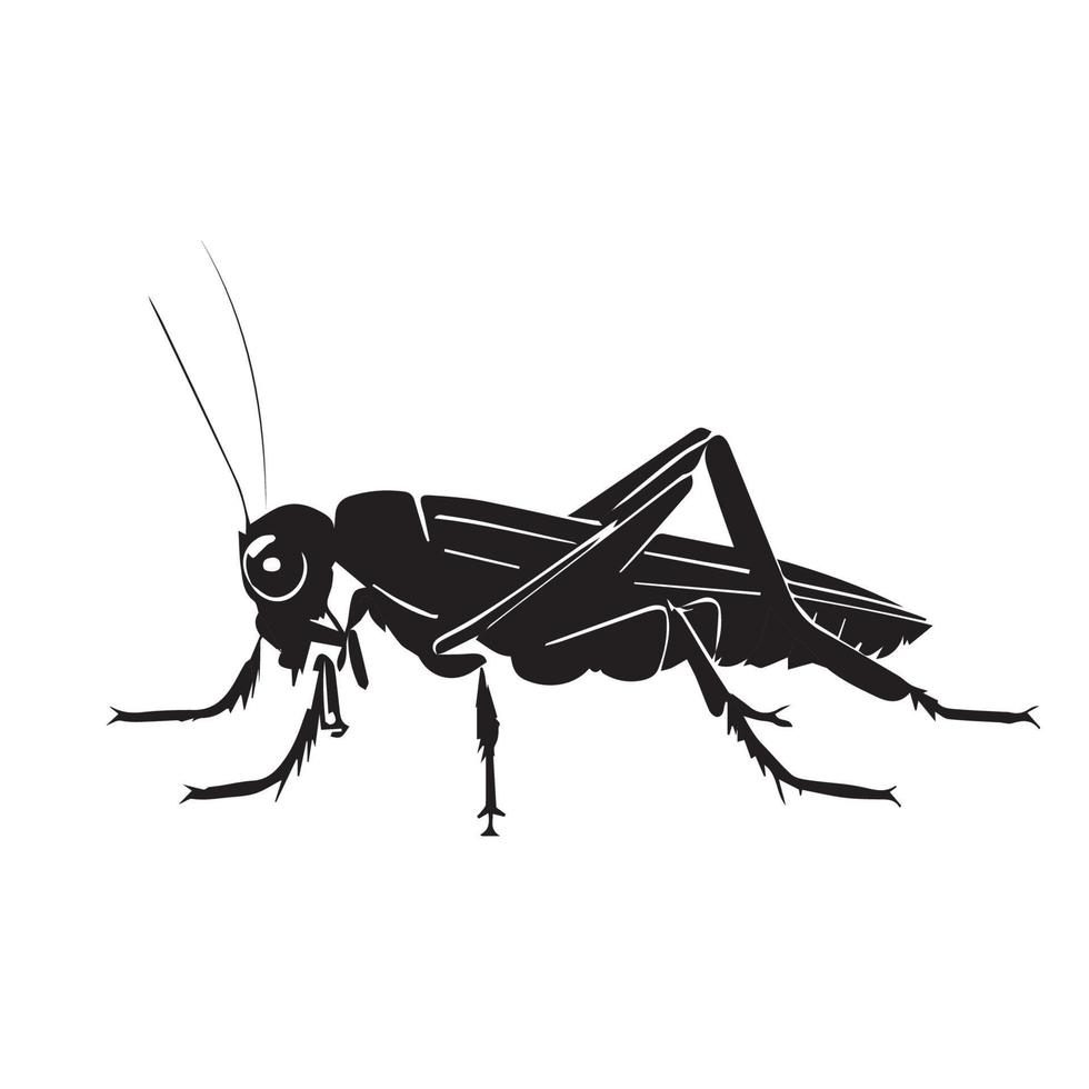 Heuschrecke Schwarz-Weiß-Vektorsymbol. minimale einfache fehlerillustration. schwarze Silhouette Insekt vektor