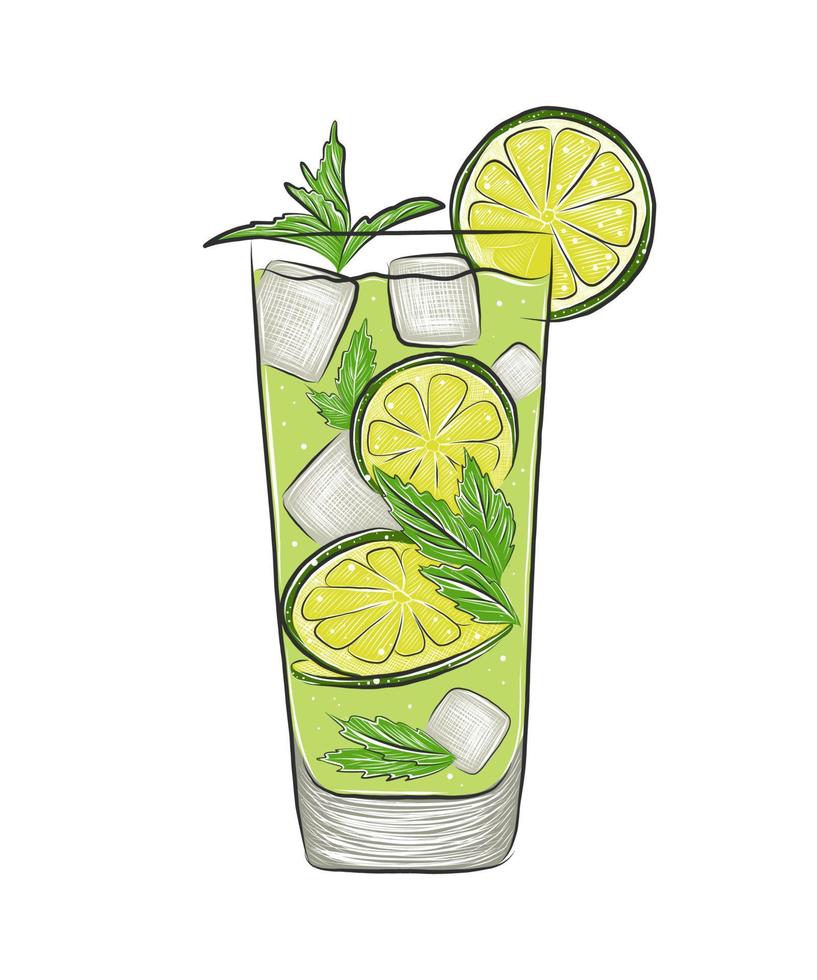 vektorgravierte Illustration für Poster, Menü, Dekoration, Logo, Wandkunstdruck. hand gezeichnete skizze der skizze des alkoholischen cocktails mojito. detaillierter vintage holzschnitt, radierung flachen stil isoliert vektor