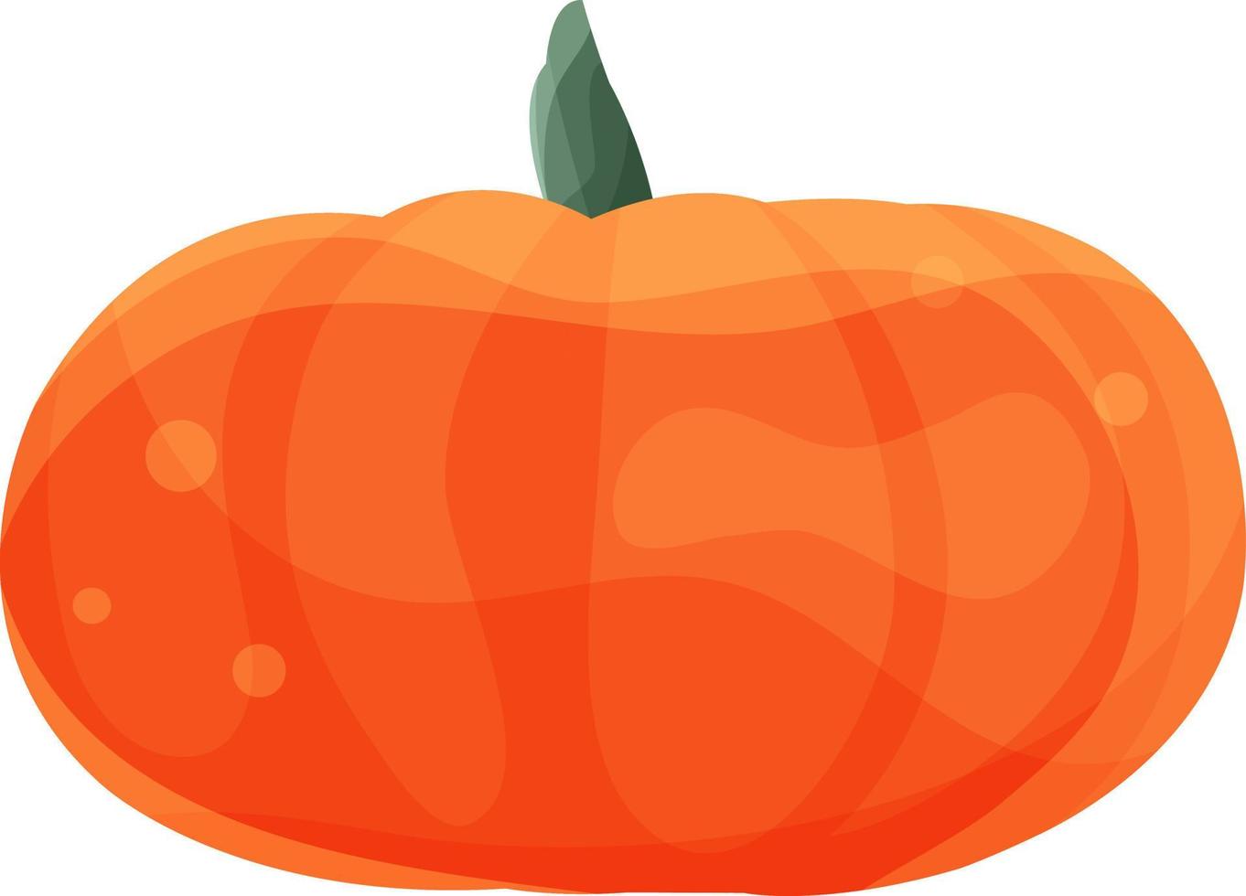 Vektor-Clipart orangefarbener Kürbis, Kürbis mit Schwanz, Herbstgemüse, Halloween-Symbol, kein Hintergrund vektor