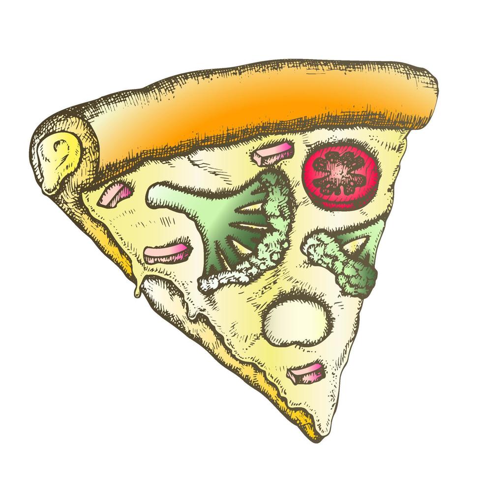 Farbe vegetarische italienische Scheibe Pizza Monochrom-Vektor vektor