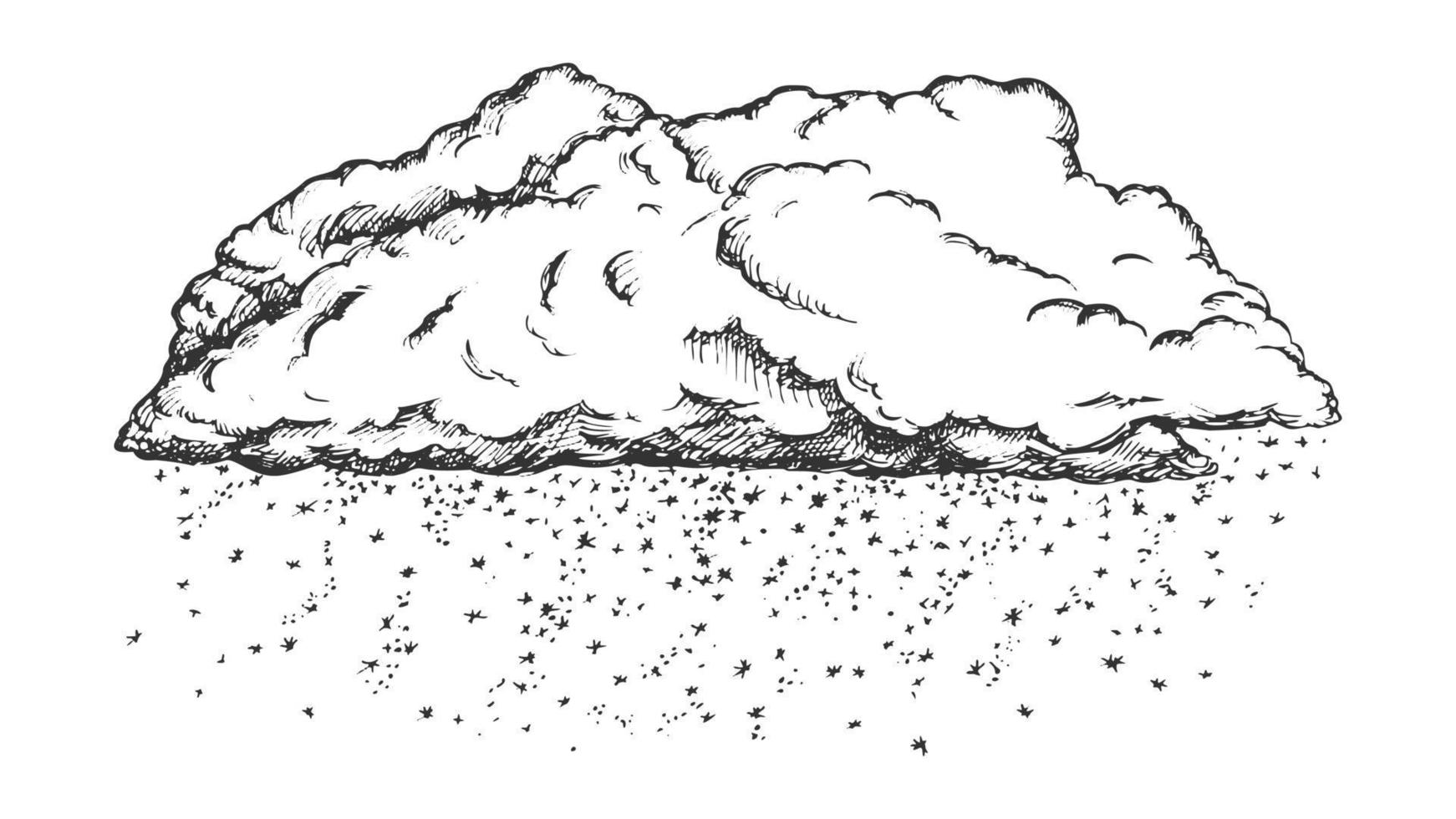 Wolke mit fallenden Schneeflocken Monochrom-Vektor vektor