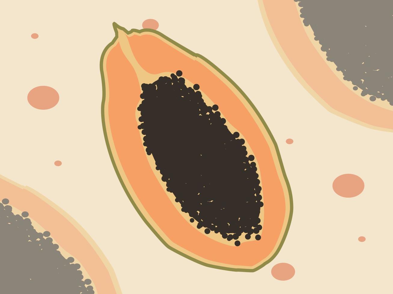 Papaya-Scheibe mit tropischen Früchten des Sommers vektor