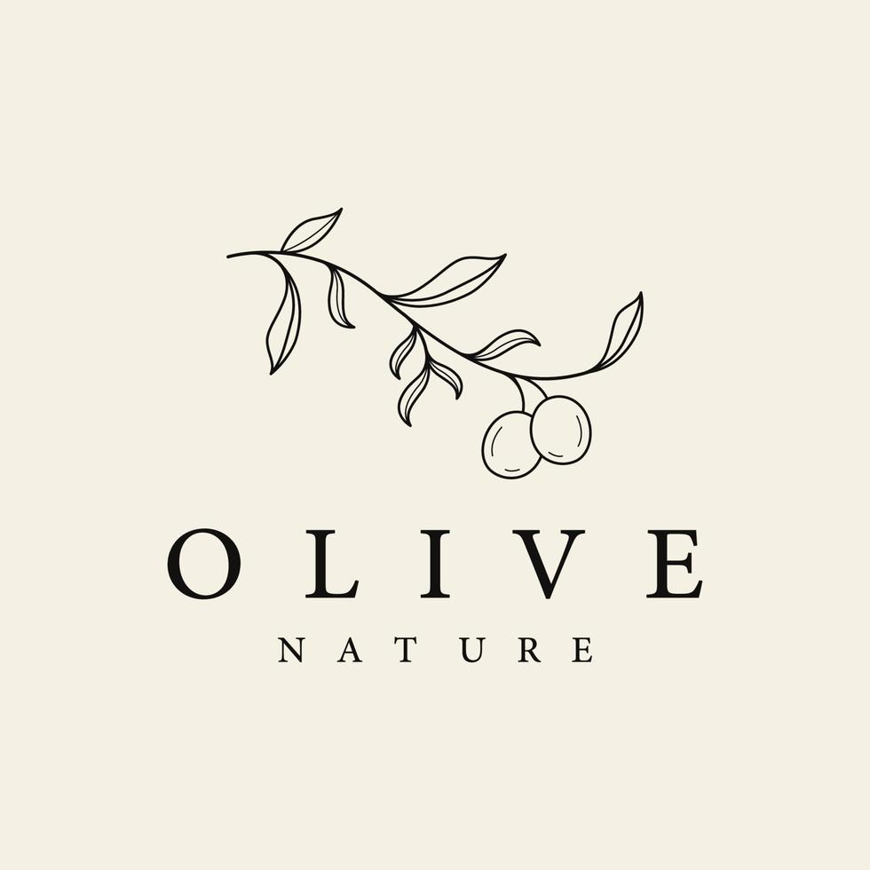 botanische logo-vorlage handgezeichnetes natürliches olivenblatt und obst. kräuter, olivenöl, kosmetik oder schönheit. vektor