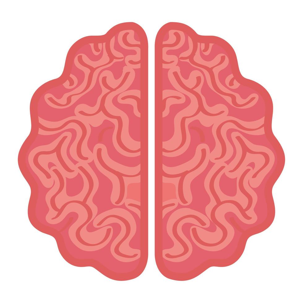 neurologi, hjärna mänsklig på vit bakgrund vektor