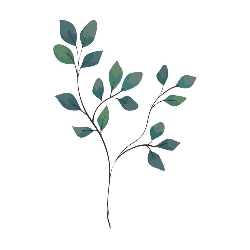 Zweig mit Blättern auf weißem Hintergrund vektor
