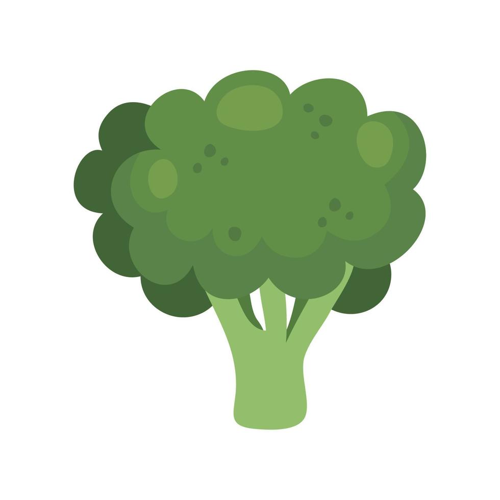 färsk broccoli grönsak isolerad ikon vektor
