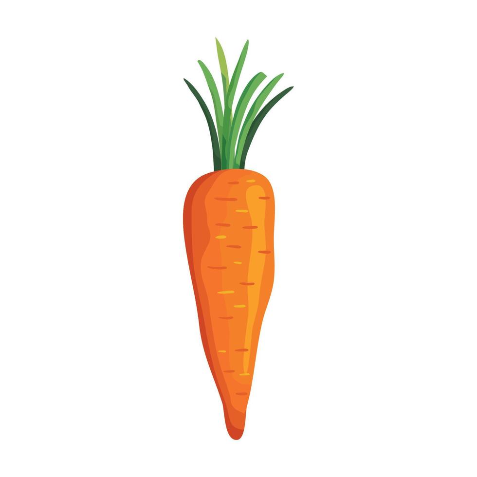 färsk morot grönsak isolerad ikon vektor