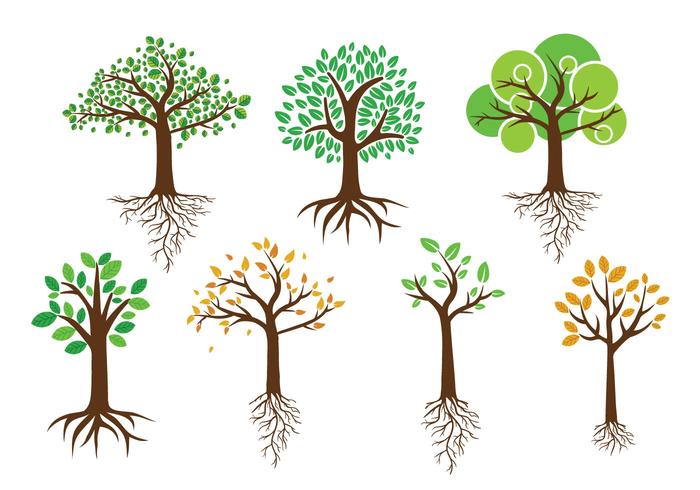 Grönt träd med rötter vektorer