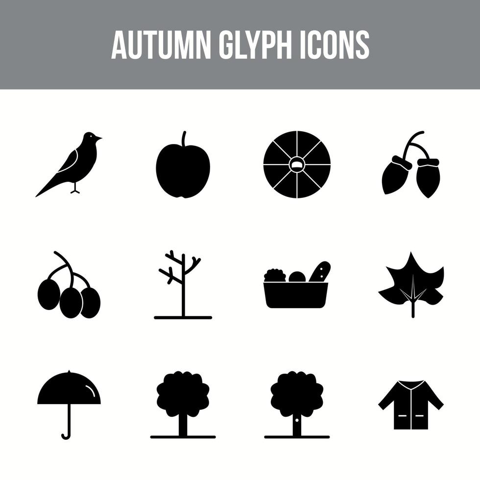 Einzigartiges Herbst-Vektor-Glyphen-Icon-Set vektor