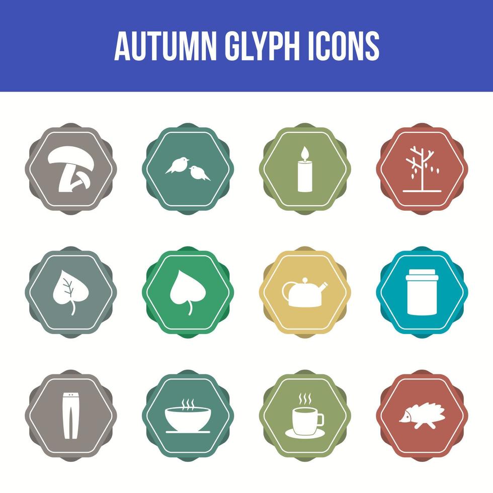 Einzigartiges Herbst-Vektor-Glyphen-Icon-Set vektor