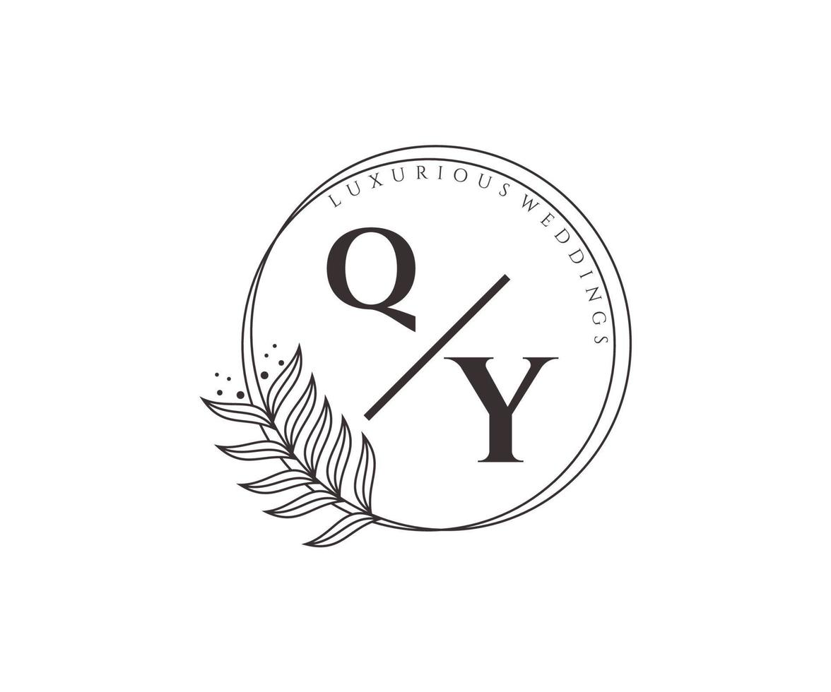 qy initialer brev bröllop monogram logotyper mall, hand dragen modern minimalistisk och blommig mallar för inbjudan kort, spara de datum, elegant identitet. vektor