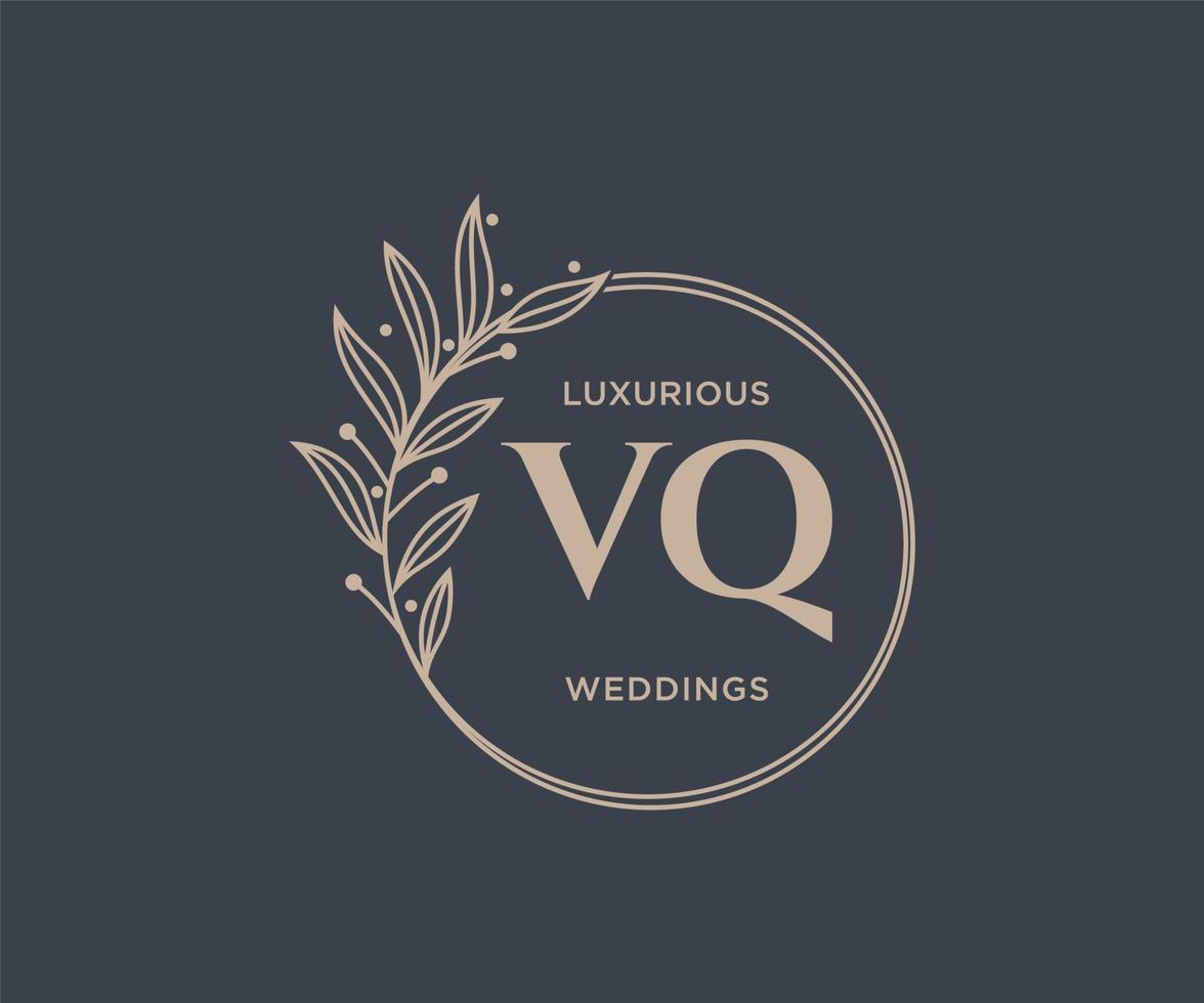 vq Initialen Brief Hochzeit Monogramm Logos Vorlage, handgezeichnete moderne minimalistische und florale Vorlagen für Einladungskarten, Datum speichern, elegante Identität. vektor