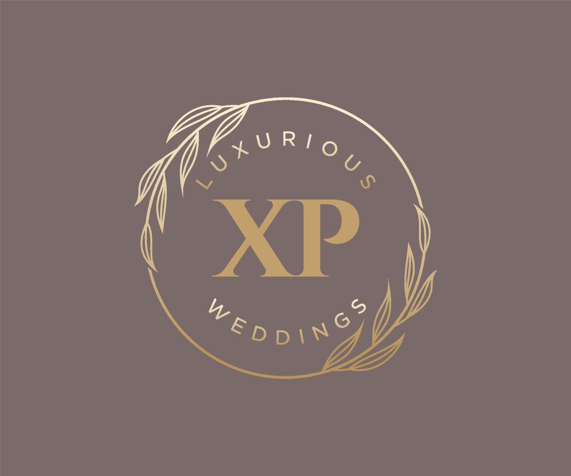 xp initialer brev bröllop monogram logotyper mall, hand dragen modern minimalistisk och blommig mallar för inbjudan kort, spara de datum, elegant identitet. vektor