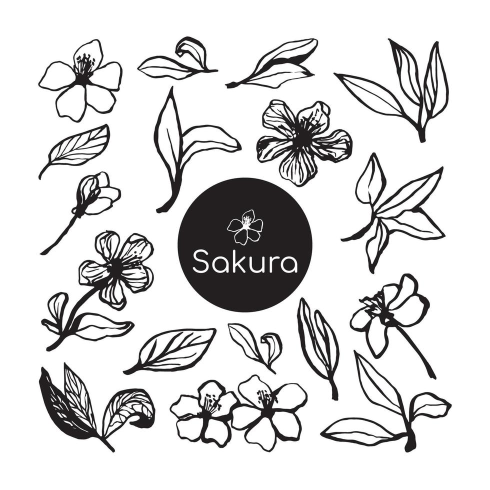 söt hand dragen sakura blomning uppsättning. traditionell japansk eller kinesisk vår blommor i bläck stil. klotter körsbär växt. vektor