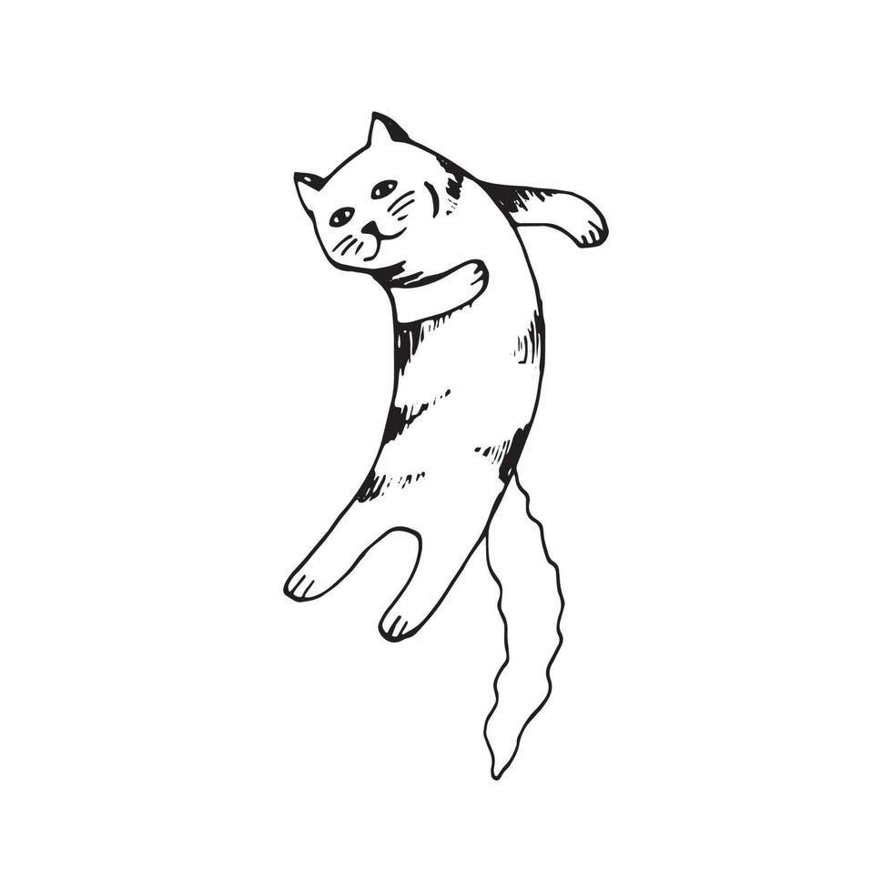 söt hand dragen katt i Hoppar rörelse på vit bakgrund. vektor förtjusande djur i trendig scandinavian stil. rolig, söt, hygge illustration för affisch, baner, skriva ut, dekoration barn lekrum.
