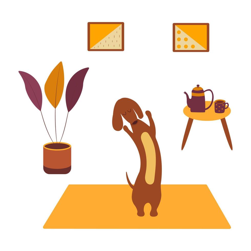 Dackel, der Yoga auf Yogamatte praktiziert. Vektor-Cartoon-Interieur vektor