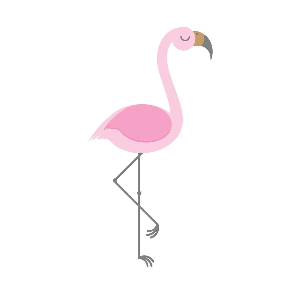 vektor platt flamingo isolerat på vit bakgrund