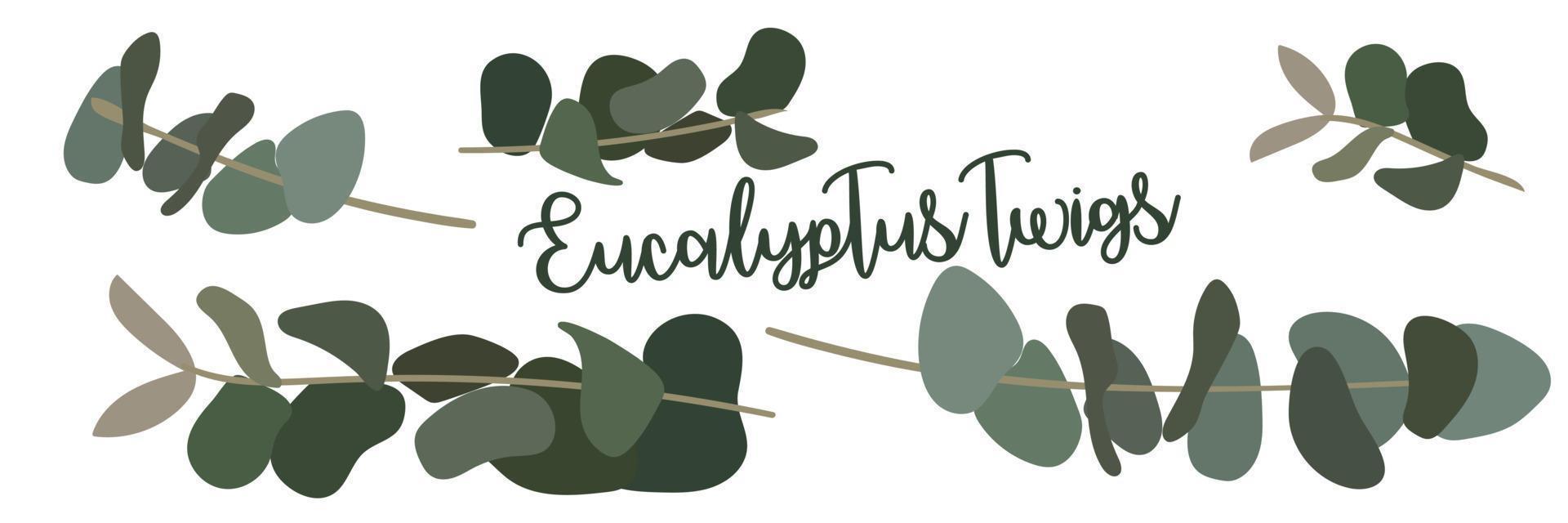 en uppsättning av eukalyptus grenar i annorlunda positioner. isolerat illustration för utskrift på vykort och banderoller. för använda sig av i skriva ut dekorer vektor