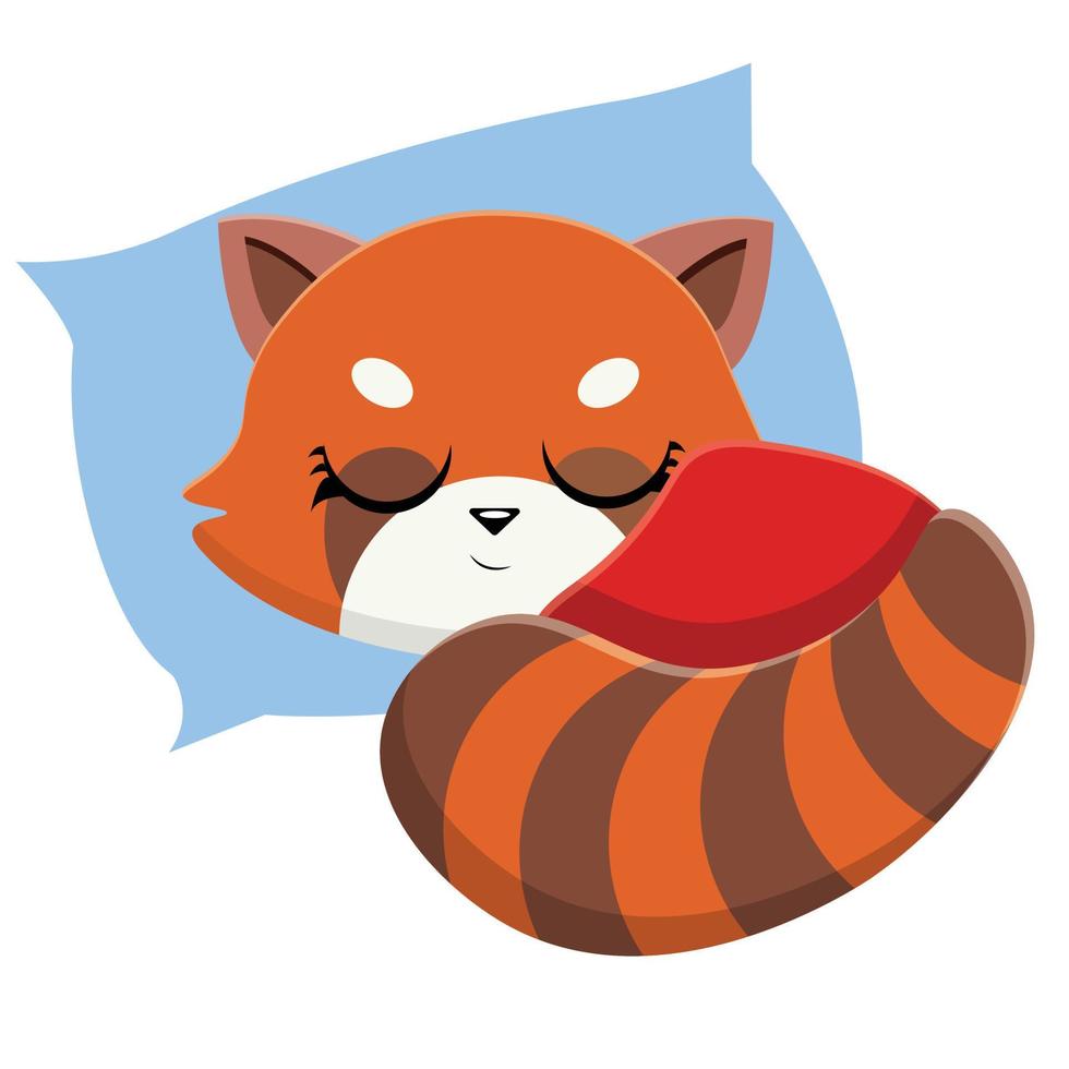 söt röd panda vektor ikon illustration. djur- ikon begrepp isolerat premie vektor. platt tecknad serie stil