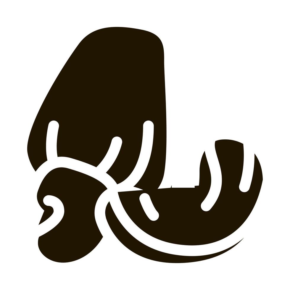 Cashew-Nuss-Symbol-Vektor-Glyphen-Illustration vektor