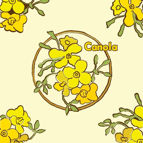 Canola blommor vektor