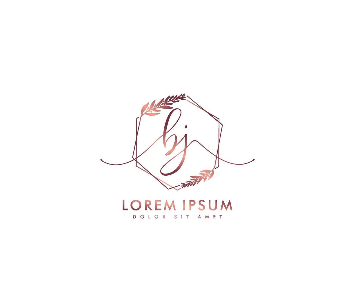 första bj feminin logotyp skönhet monogram och elegant logotyp design, handstil logotyp av första signatur, bröllop, mode, blommig och botanisk med kreativ mall vektor